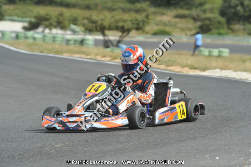 DSC (3706).JPG
